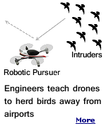 Engineers at Caltech have developed a new control algorithm that enables a single drone to herd an entire flock of birds away from airports. 